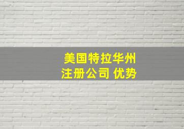 美国特拉华州注册公司 优势